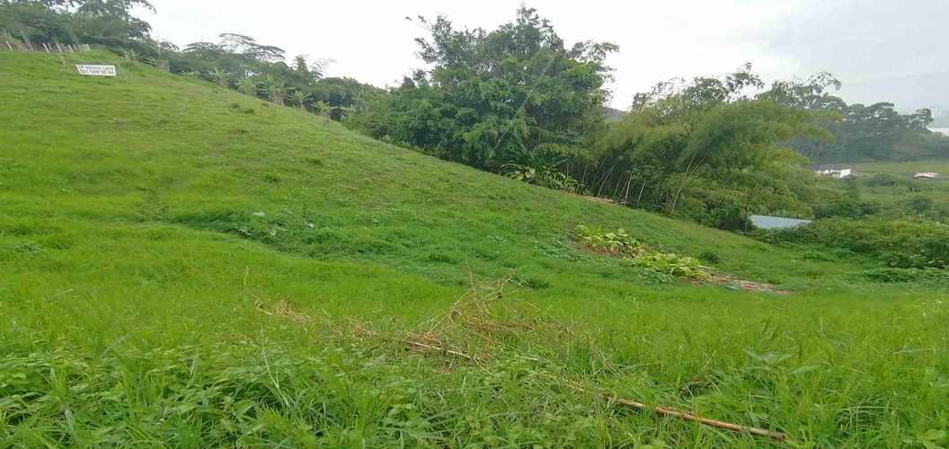 Lote en venta en La Esperanza, Dosquebradas · foto 2 de 9