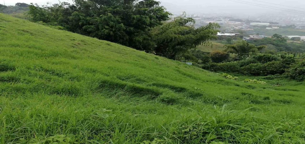 Lote en venta en La Esperanza, Dosquebradas · foto 6 de 9