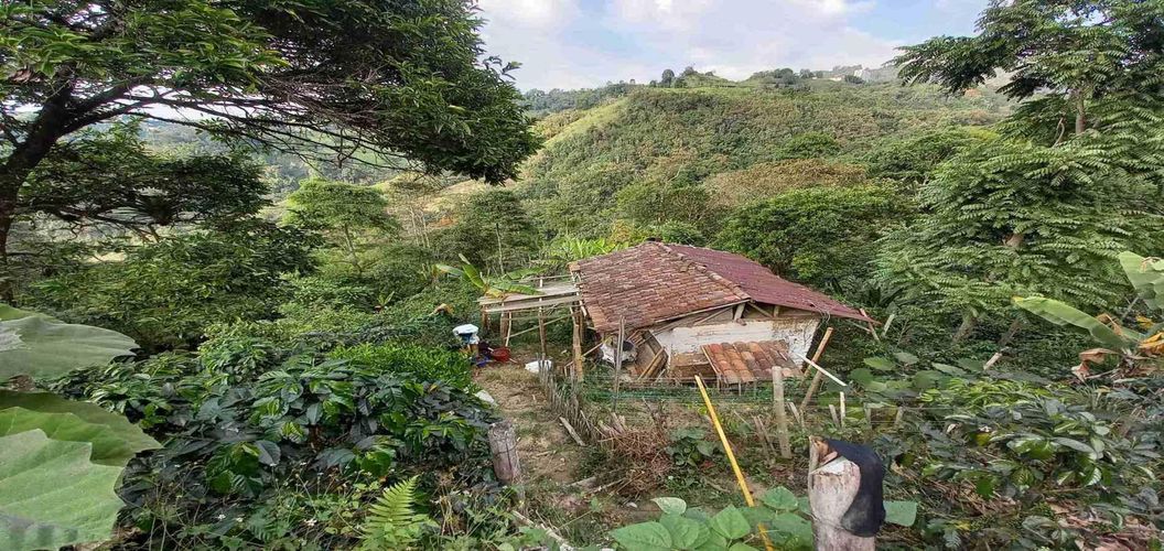 Finca en venta en El Arenillo, Manizales, 84 m² · foto 13 de 21