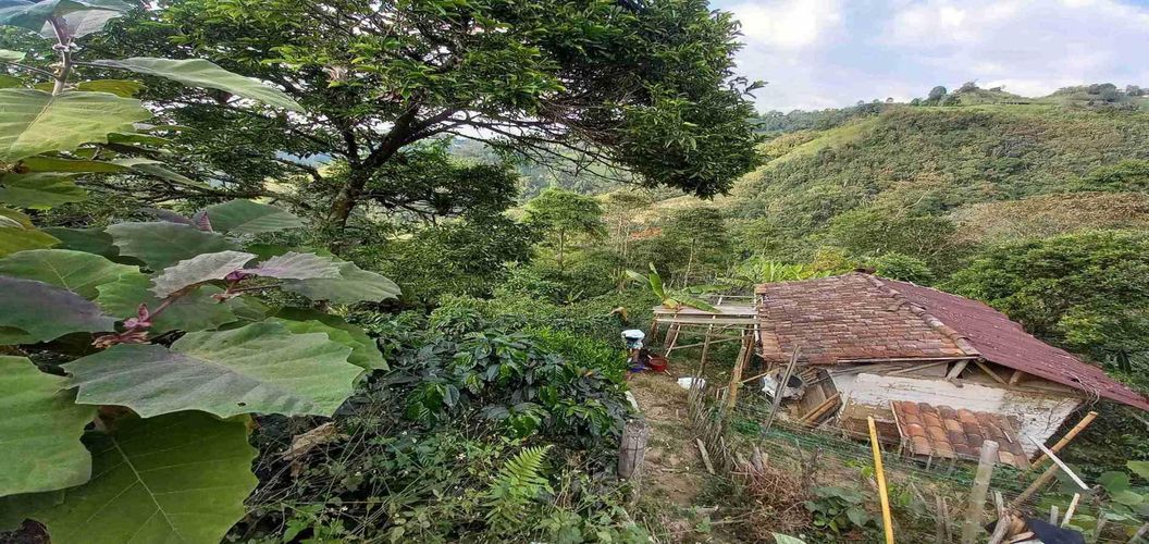 Finca en venta en El Arenillo, Manizales, 84 m² · foto 14 de 21