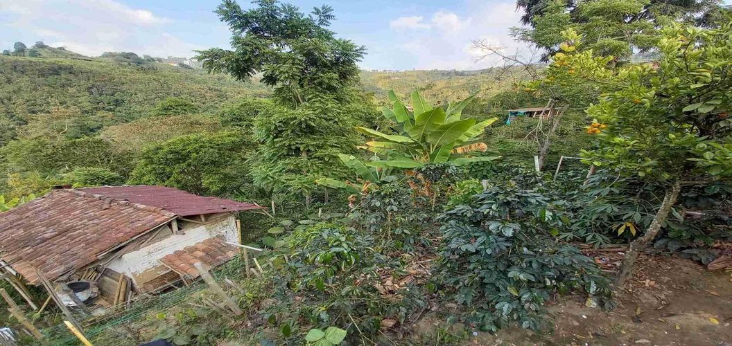 Finca en venta en El Arenillo, Manizales, 84 m² · foto 15 de 21