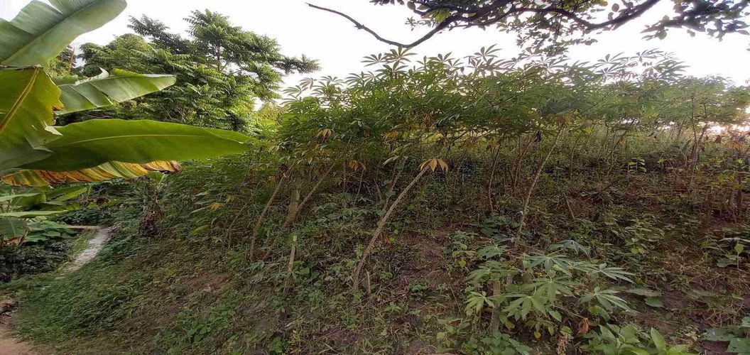 Finca en venta en El Arenillo, Manizales, 84 m² · foto 20 de 21