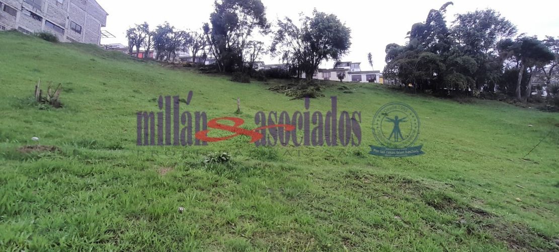 Lote en venta en El Campin, Manizales, 2216 m² · foto 6 de 17
