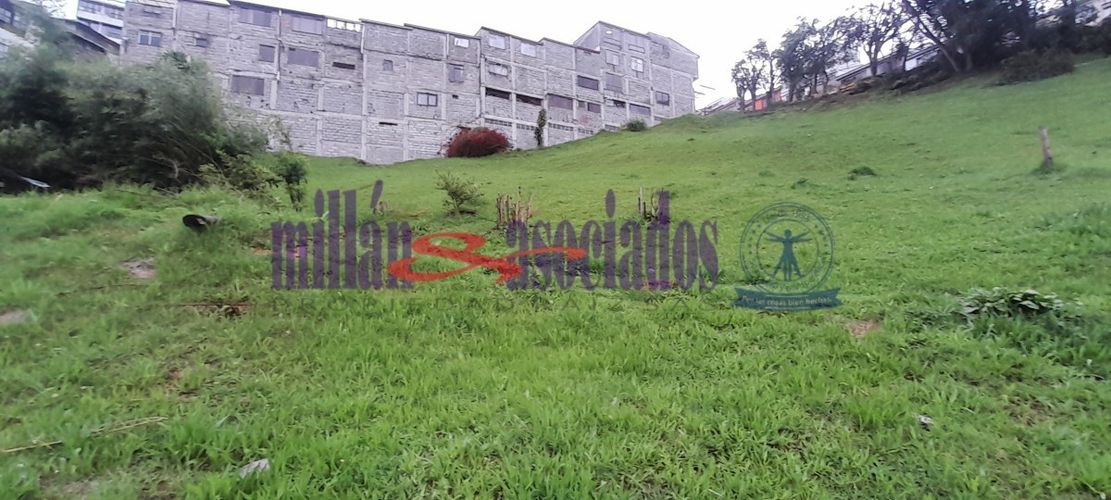 Lote en venta en El Campin, Manizales, 2216 m² · foto 8 de 17