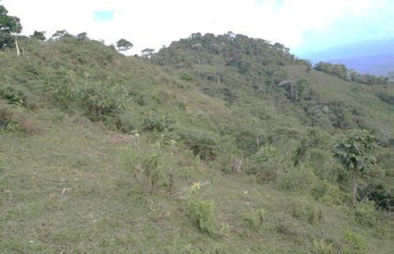 Finca en venta en Campestre A, Dosquebradas, 170 m² · foto 2 de 8