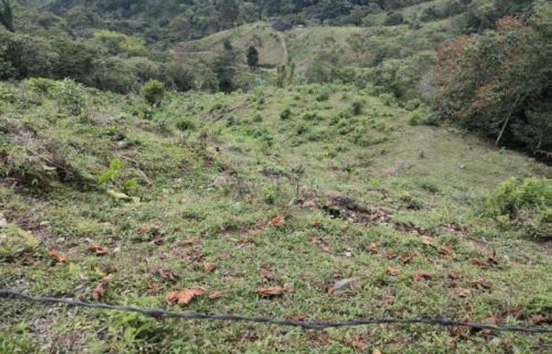 Finca en venta en Campestre A, Dosquebradas, 170 m² · foto 3 de 8