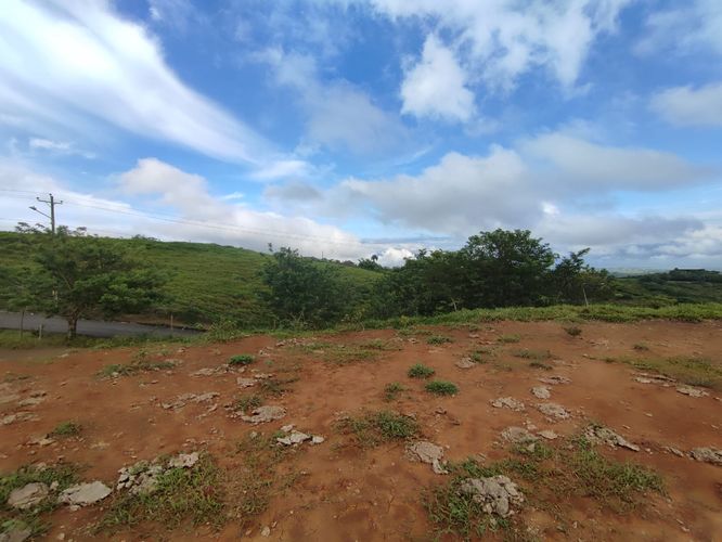 Lote en venta en Cerritos, Pereira · foto 2 de 10