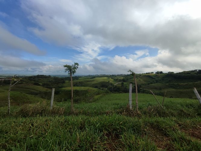 Lote en venta en Cerritos, Pereira · foto 8 de 10