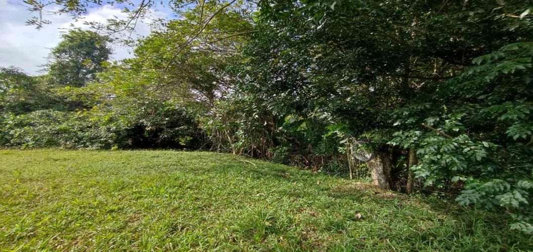 Lote en venta en Cerritos, Pereira · foto 3 de 10