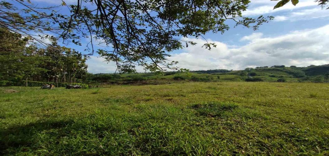 Lote en venta en Cerritos, Pereira · foto 4 de 10