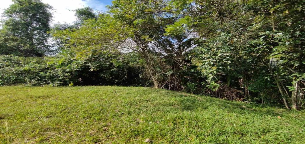 Lote en venta en Cerritos, Pereira · foto 5 de 10