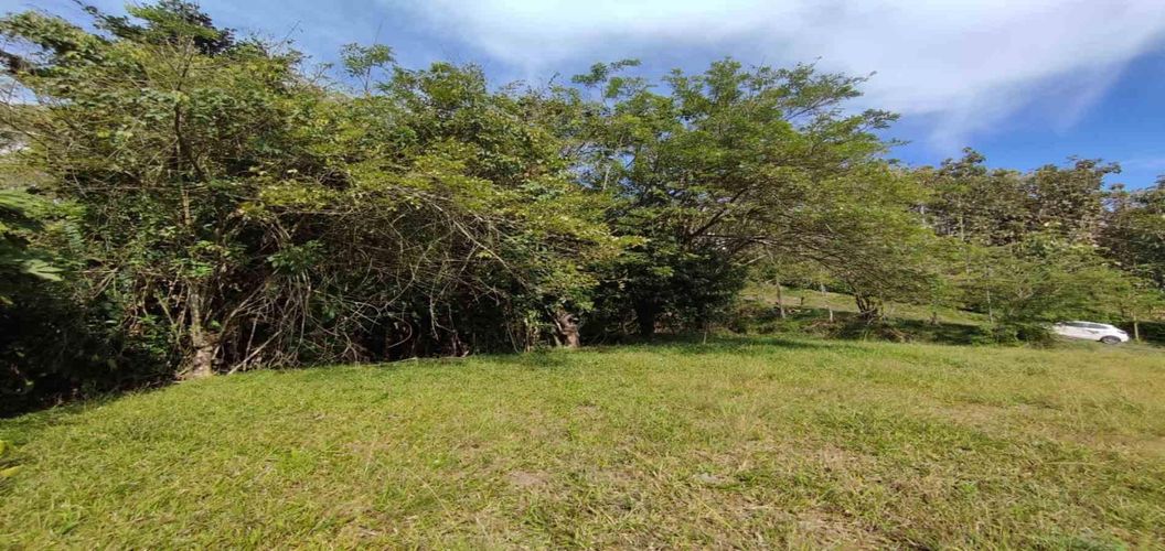 Lote en venta en Cerritos, Pereira · foto 6 de 10