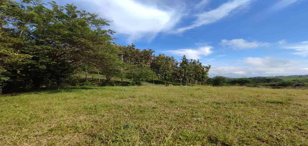Lote en venta en Cerritos, Pereira · foto 7 de 10
