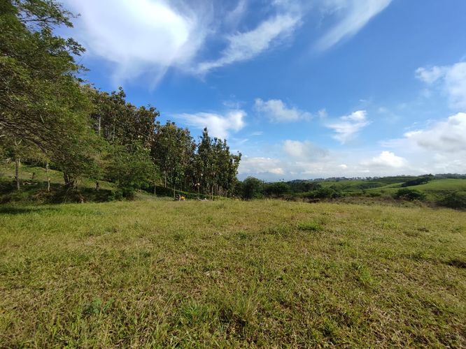Lote en venta en Cerritos, Pereira · foto 8 de 10