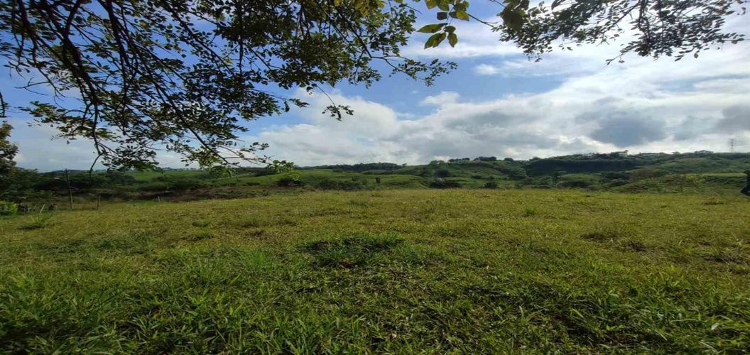Lote en venta en Cerritos, Pereira · foto 9 de 10