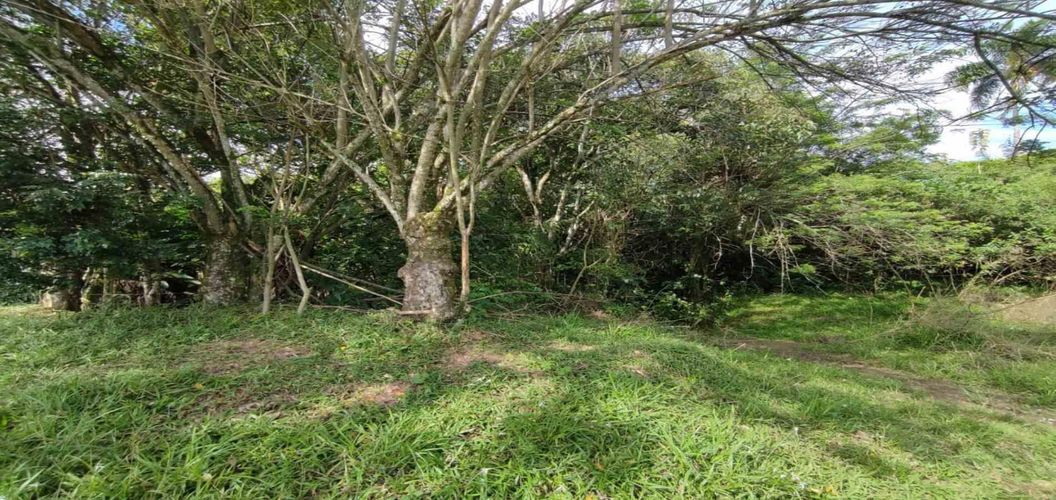 Lote en venta en Cerritos, Pereira · foto 10 de 10
