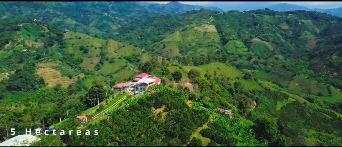 Finca en venta en La Linda, Manizales, 50000 m² · foto 2 de 18