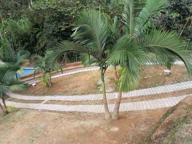 Finca en venta en La Florida, Dosquebradas, 300 m² · foto 15 de 15