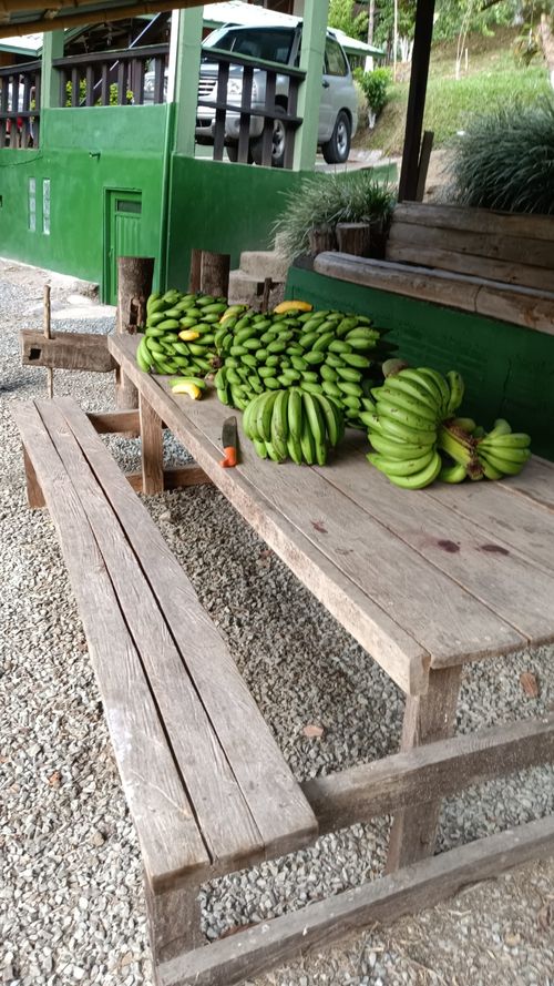 Finca en venta en La Cabaña, Manizales, 150 m² · foto 4 de 24