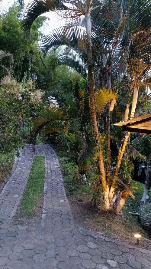 Finca en venta en La Cabaña, Manizales, 150 m² · foto 5 de 24