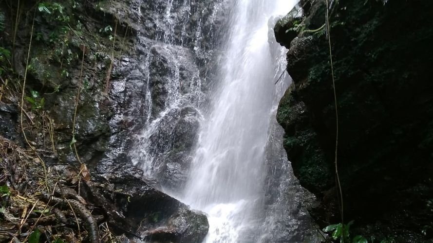 Finca en venta en La Cabaña, Manizales, 150 m² · foto 11 de 24