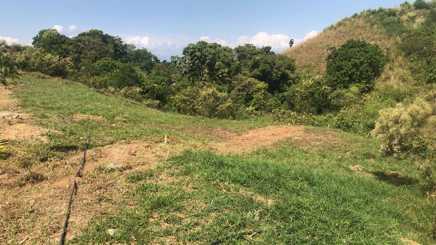 Lote en venta en Cerritos, Pereira, 1512 m² · foto 4 de 16