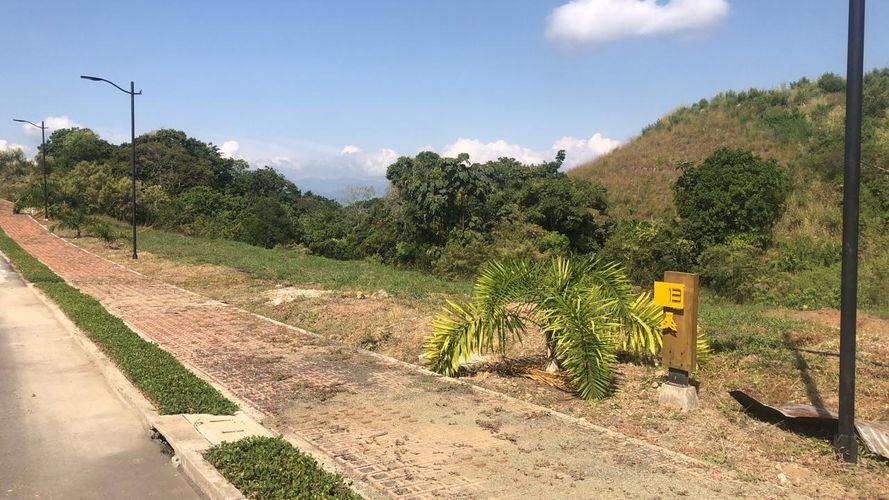Lote en venta en Cerritos, Pereira, 1512 m² · foto 6 de 16