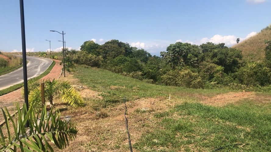 Lote en venta en Cerritos, Pereira, 1512 m² · foto 8 de 16