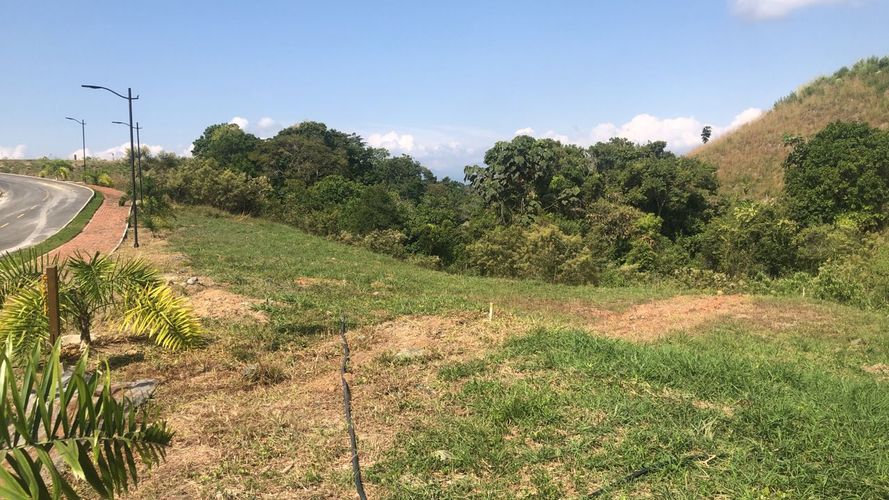Lote en venta en Cerritos, Pereira, 1512 m² · foto 9 de 16