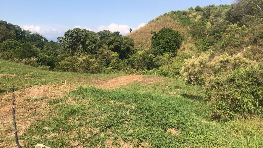 Lote en venta en Cerritos, Pereira, 1512 m² · foto 10 de 16
