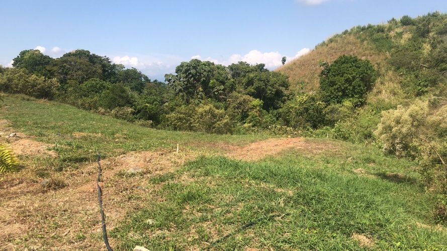 Lote en venta en Cerritos, Pereira, 1512 m² · foto 11 de 16