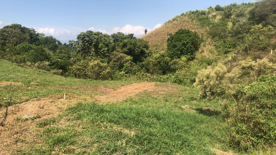 Lote en venta en Cerritos, Pereira, 1512 m² · foto 12 de 16
