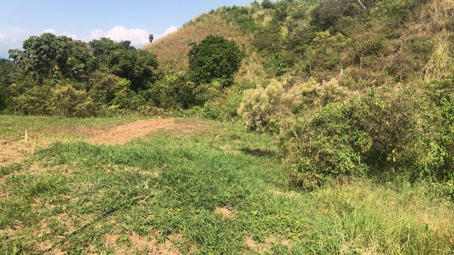Lote en venta en Cerritos, Pereira, 1512 m² · foto 13 de 16
