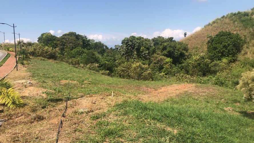 Lote en venta en Cerritos, Pereira, 1512 m² · foto 14 de 16