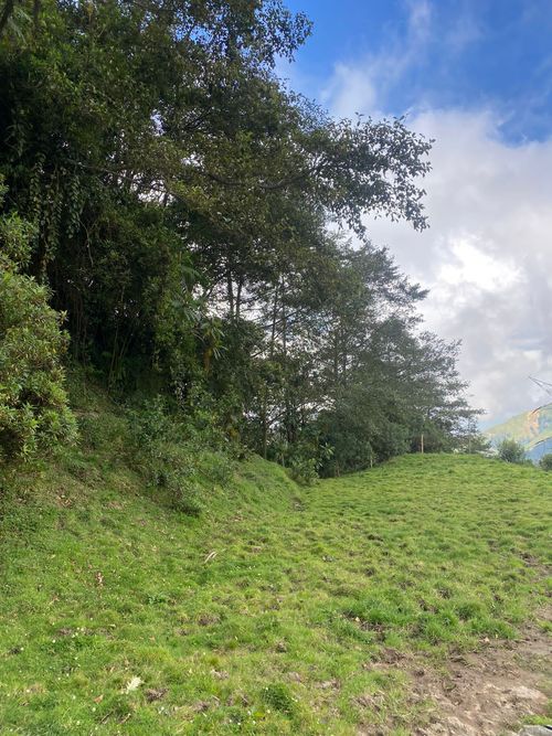 Lote en venta en La Esperanza, Manizales, 100000 m² · foto 4 de 24