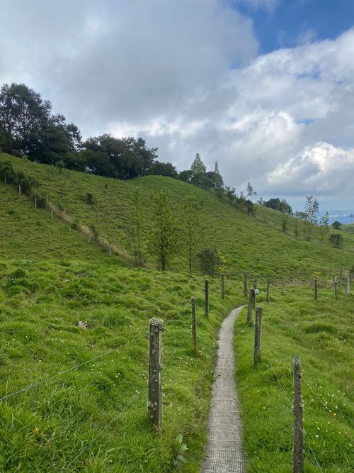 Lote en venta en La Esperanza, Manizales, 100000 m² · foto 8 de 24
