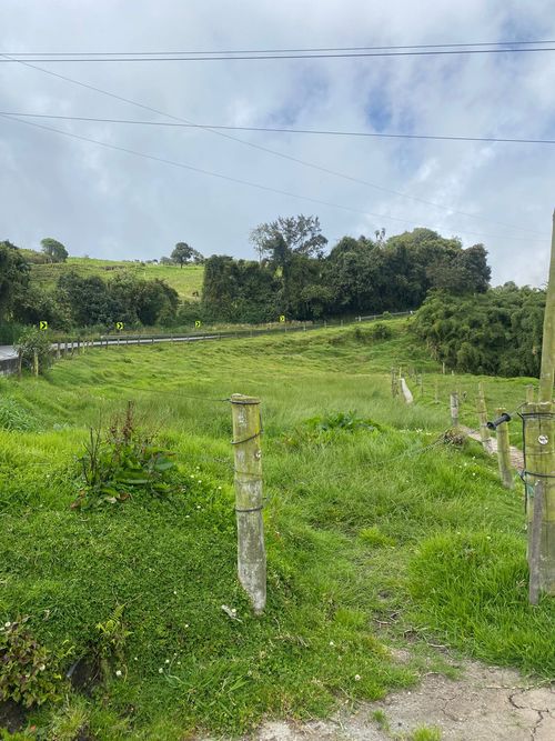 Lote en venta en La Esperanza, Manizales, 100000 m² · foto 11 de 24