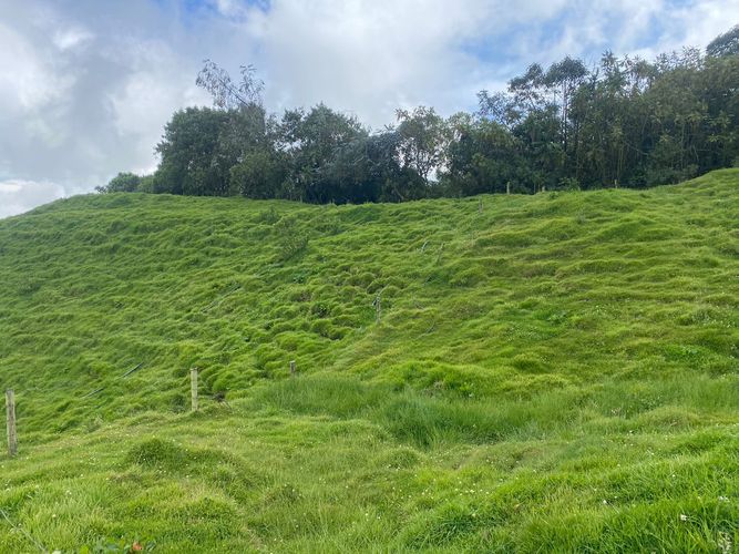 Lote en venta en La Esperanza, Manizales, 100000 m² · foto 19 de 24