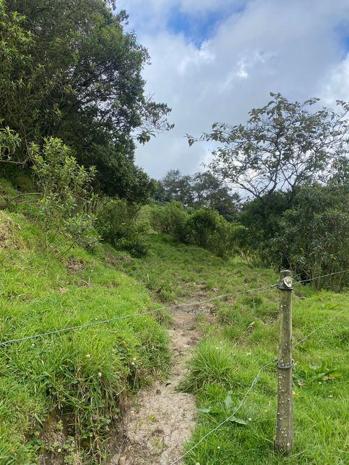 Lote en venta en La Esperanza, Manizales, 100000 m² · foto 23 de 24
