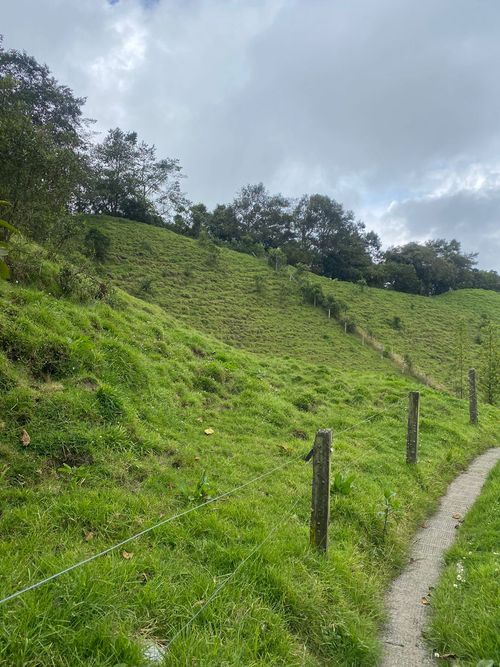 Lote en venta en La Esperanza, Manizales, 100000 m² · foto 24 de 24