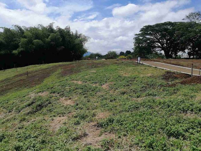 Lote en venta en Combia, Pereira · foto 6 de 24