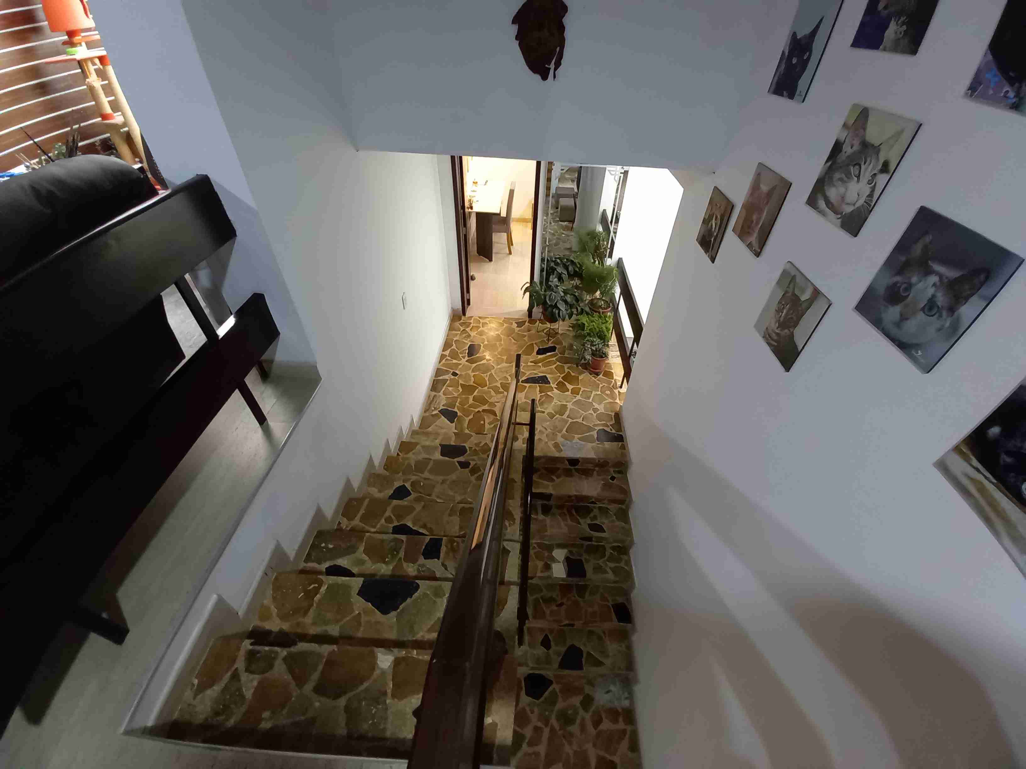 Casa en venta en Palermo, Manizales · foto 21 de 24