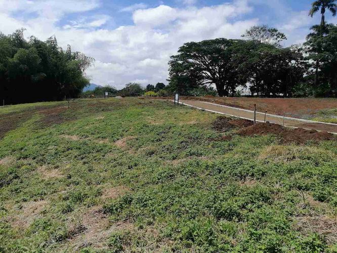 Lote en venta en Combia, Pereira · foto 5 de 24