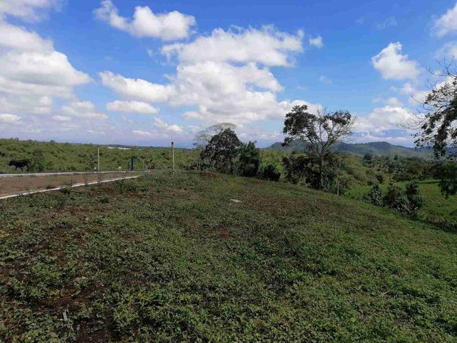 Lote en venta en Combia, Pereira · foto 7 de 24