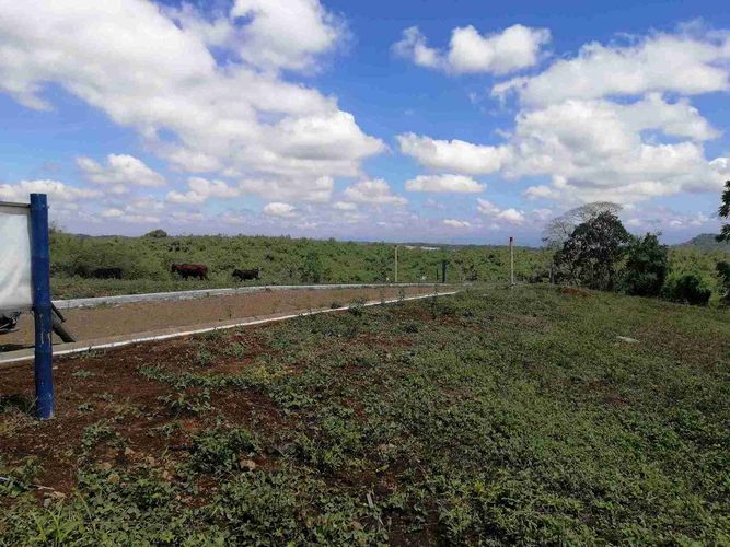 Lote en venta en Combia, Pereira · foto 8 de 24