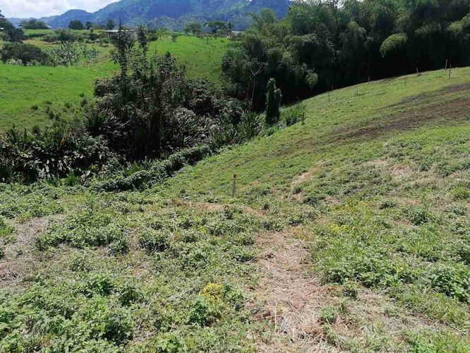 Lote en venta en Combia, Pereira · foto 3 de 22
