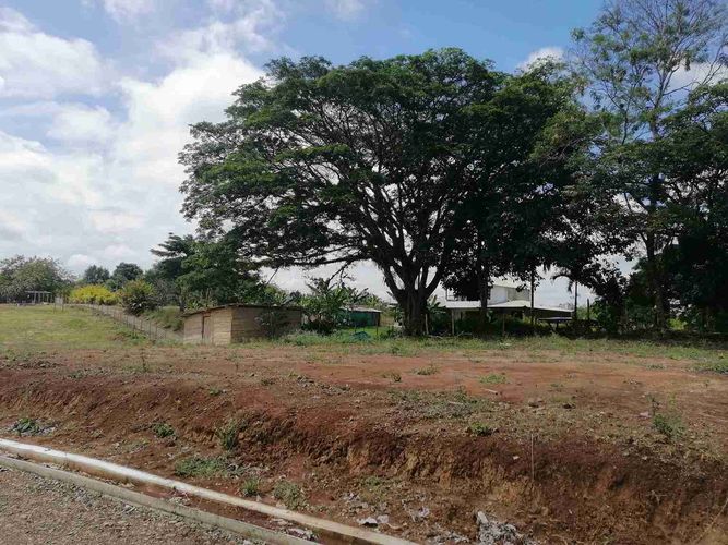 Lote en venta en Combia, Pereira · foto 7 de 22