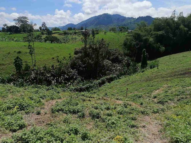 Lote en venta en Combia, Pereira · foto 6 de 22