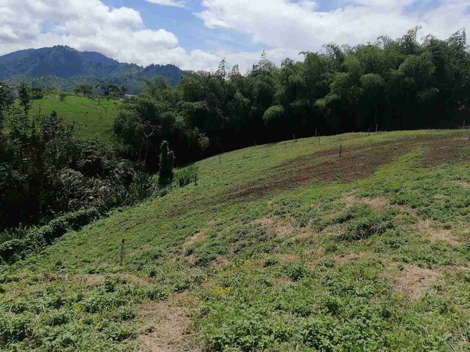 Lote en venta en Combia, Pereira · foto 7 de 22