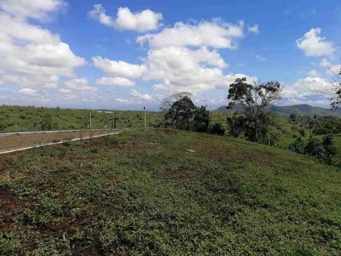 Lote en venta en Combia, Pereira · foto 19 de 22